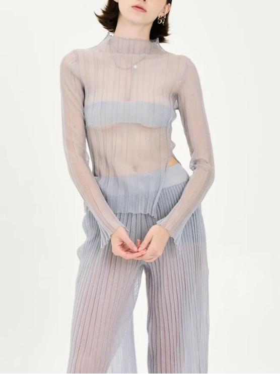 Ph5 Juwon Organza Pleated Sheer Top In Gray